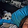 Poppy is registered to the contest to win money with this photo: dog, person, sleeping, pillow, blue_pillow, bed, resting, black_and_white_photos, wall, portrait, cozy, indoor, cute, pet, small_dog, fur, face, relaxation, home, comfort