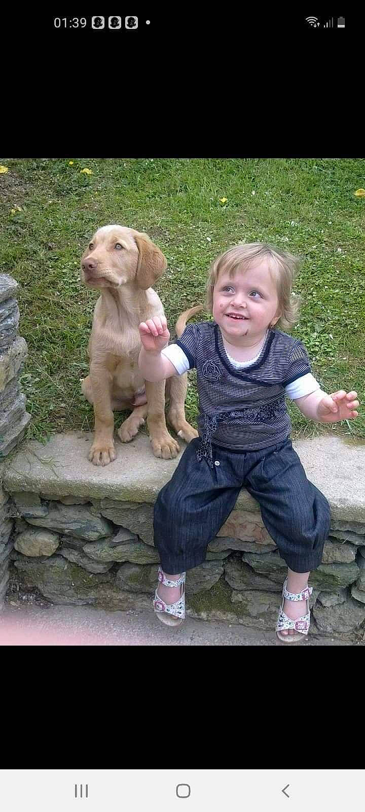 Eliot participe au concours pour gagner de l'argent avec cette photo : baby_toddler_clothing, boot, carnivore, child, companion_dog, dog, dog_breed, fawn, fun, grass, happy, leisure, people, people_in_nature, recreation, sitting, smile, sneakers, sporting_group, toddler