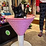 carpet, cat, cat_tree, christmas_tree, cone_shaped, curtains, fireplace, furniture, holiday_decor, indoor, kitten, leggings, living_room, person, pink, rainbow_socks, stockings, toy, tuxedo_cat, window