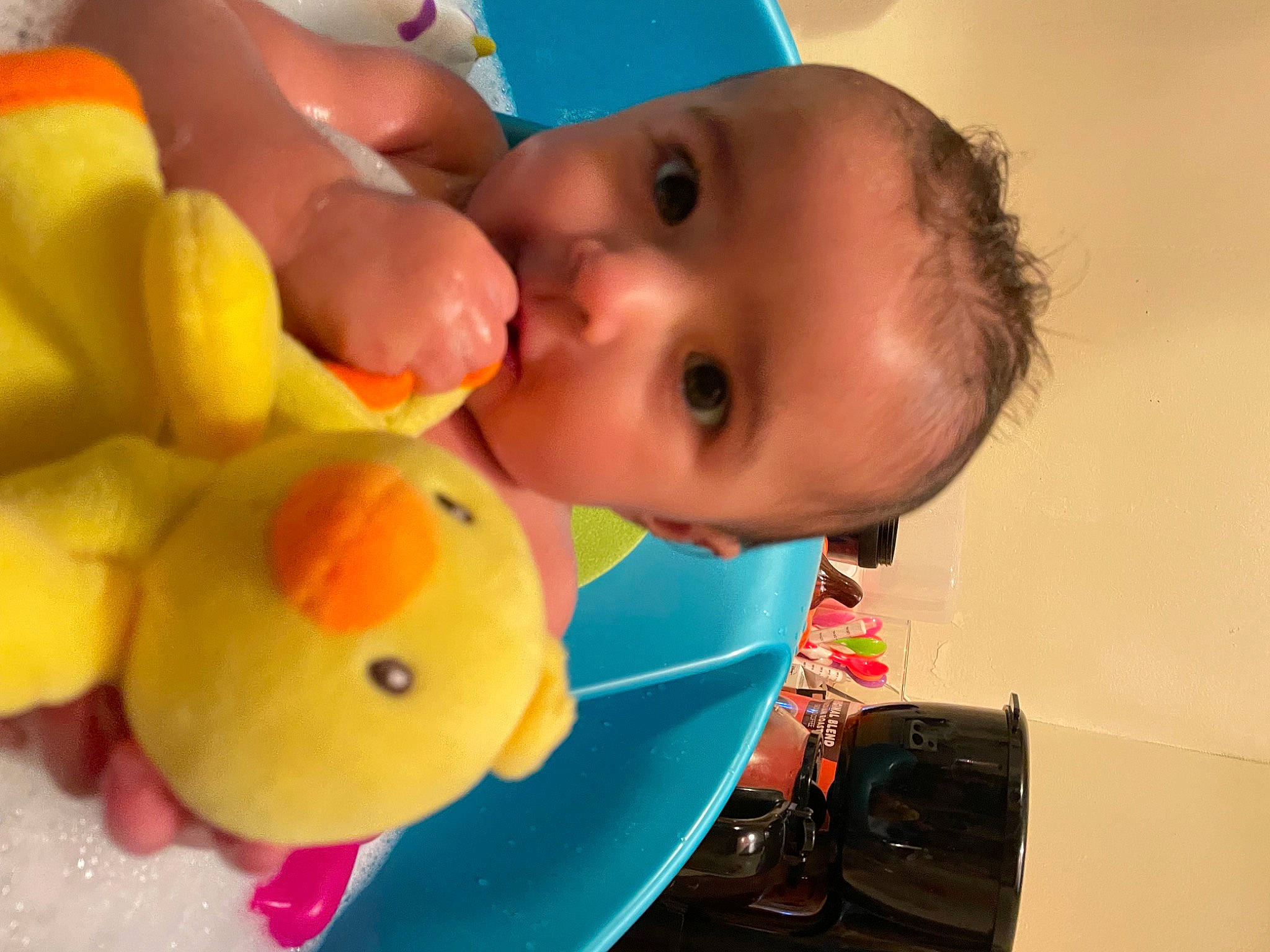 Amora is registered to the contest to win money with this photo: _geese_and_swans, baby, baby_products, baby_toys, backpack, bag, bath_toy, cheek, duck, ducks, facial_expression, fun, handbag, happy, luggage_and_bags, mouth, nose, person, rubber_ducky, skin