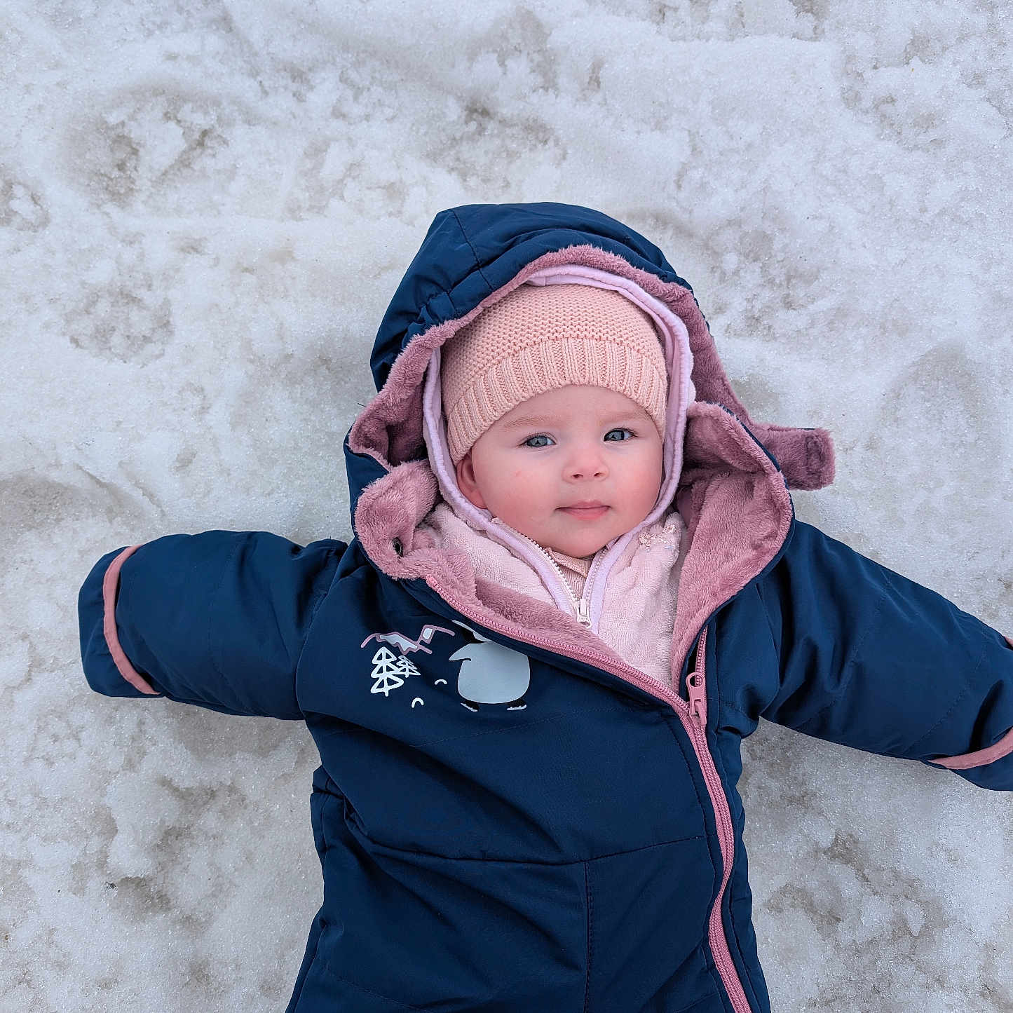 Meïlou participe au concours pour gagner de l'argent avec cette photo : baby, bonnet, cap, clothing, coat, face, hat, head, hood, hoodie, jacket, knitwear, nature, outdoors, person, photography, portrait, snow, sweater, sweatshirt