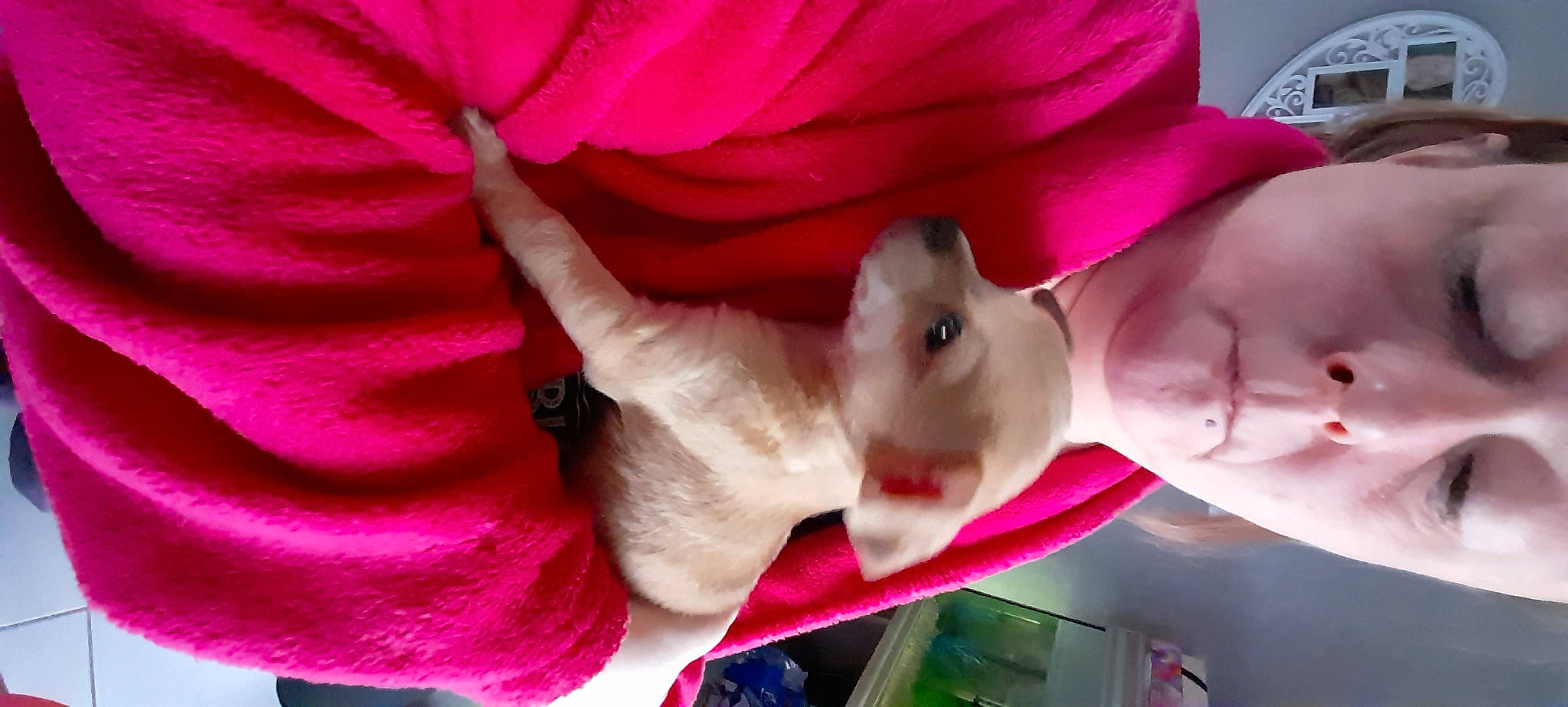 Snoopy