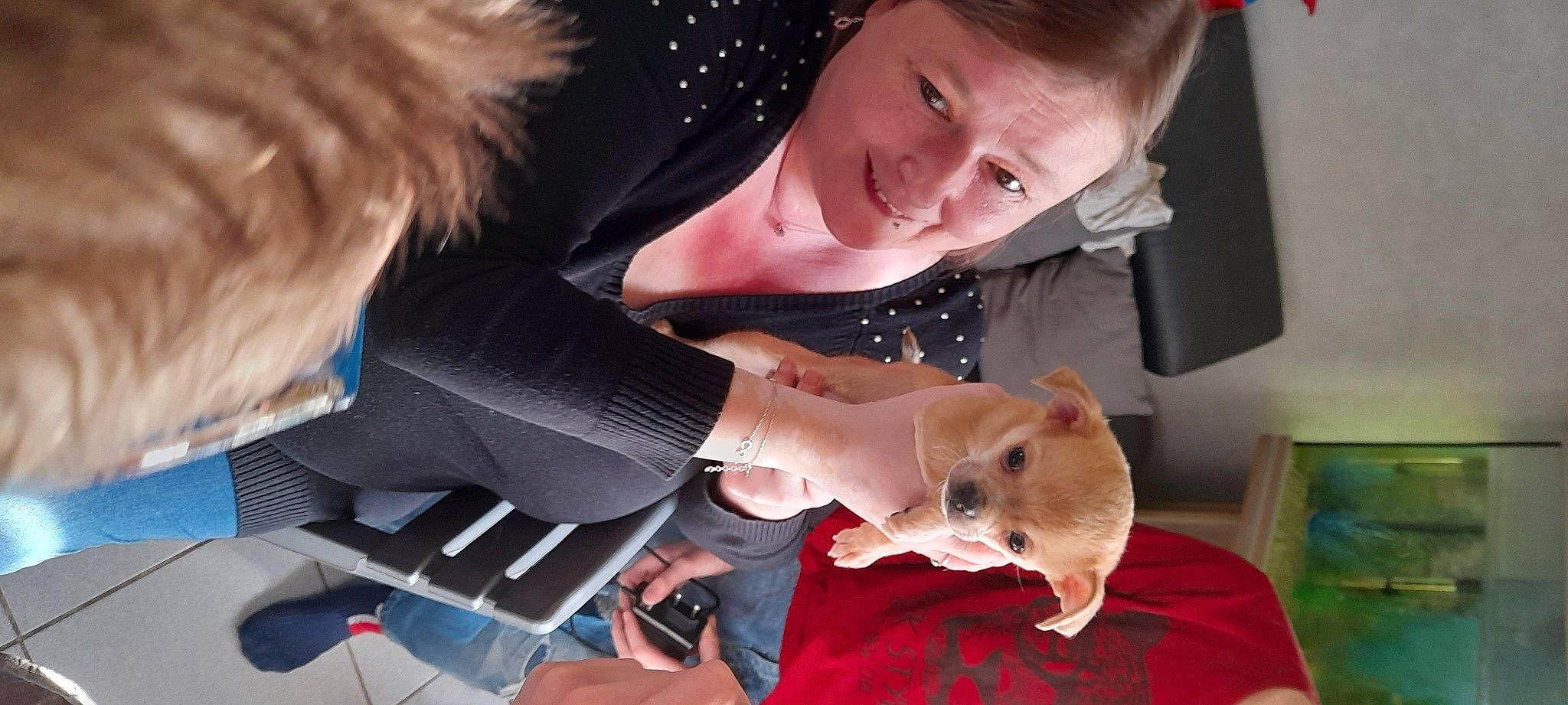 Snoupy participe au concours pour gagner de l'argent avec cette photo : child, dormouse, ear, eyelash, eyewear, fashion_accessory, formal_wear, fun, fur, gesture, hair, hamster, happy, mammal, muroidea, pest, rat, rodent, selfie, smile