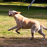 Cerise participe au concours pour gagner de l'argent avec cette photo :