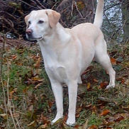 Cerise a rejoint le concours — aidez-le/la à gagner de superbes lots !