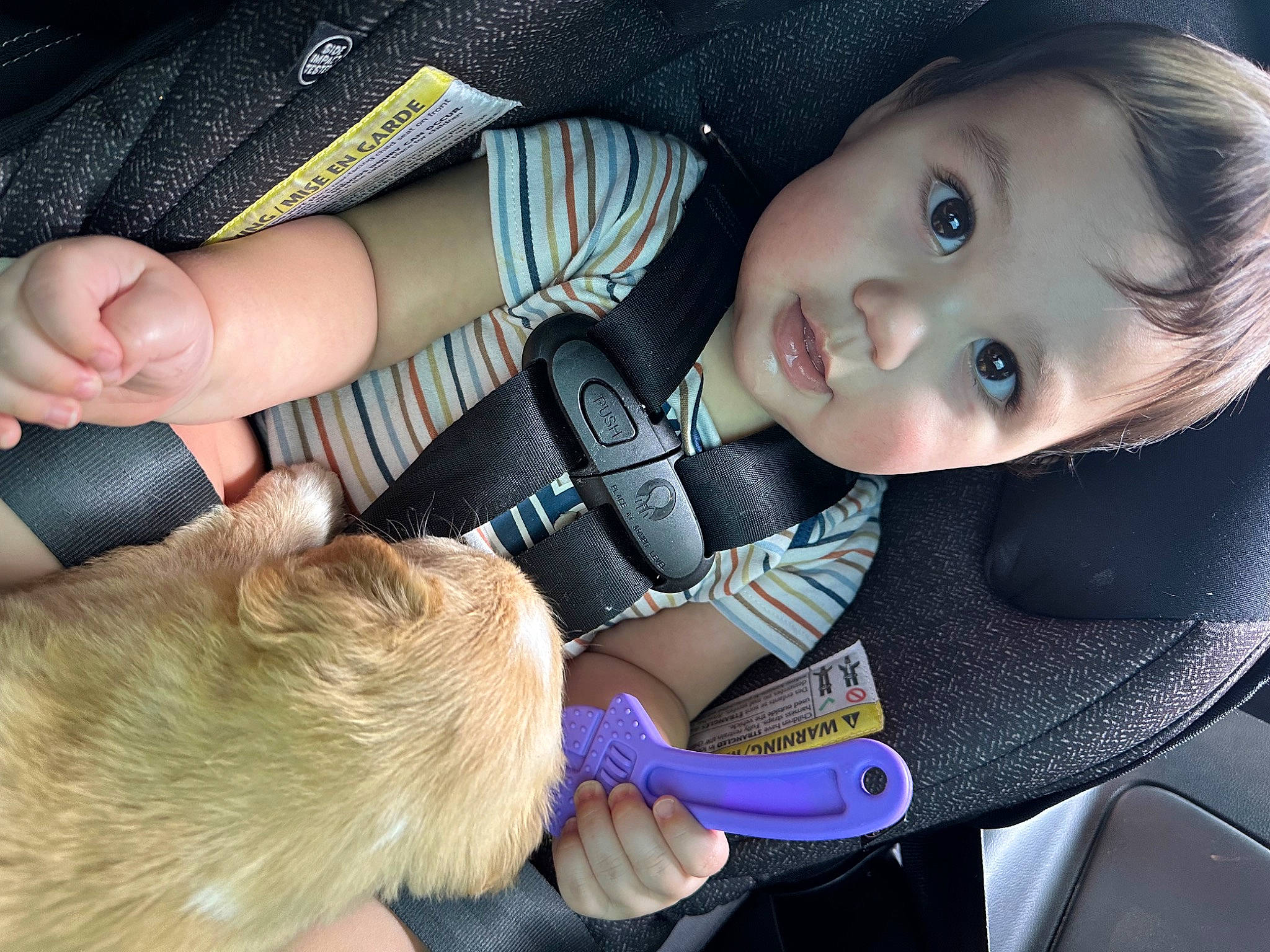 Draco joined the competition — help win amazing prizes! baby, baby_products, baby_toddler_clothing, cheek, child, eye, eyelash, finger, flash_photography, gesture, head, mouth, nail, nose, organ, person, product, skin, smile, thumb