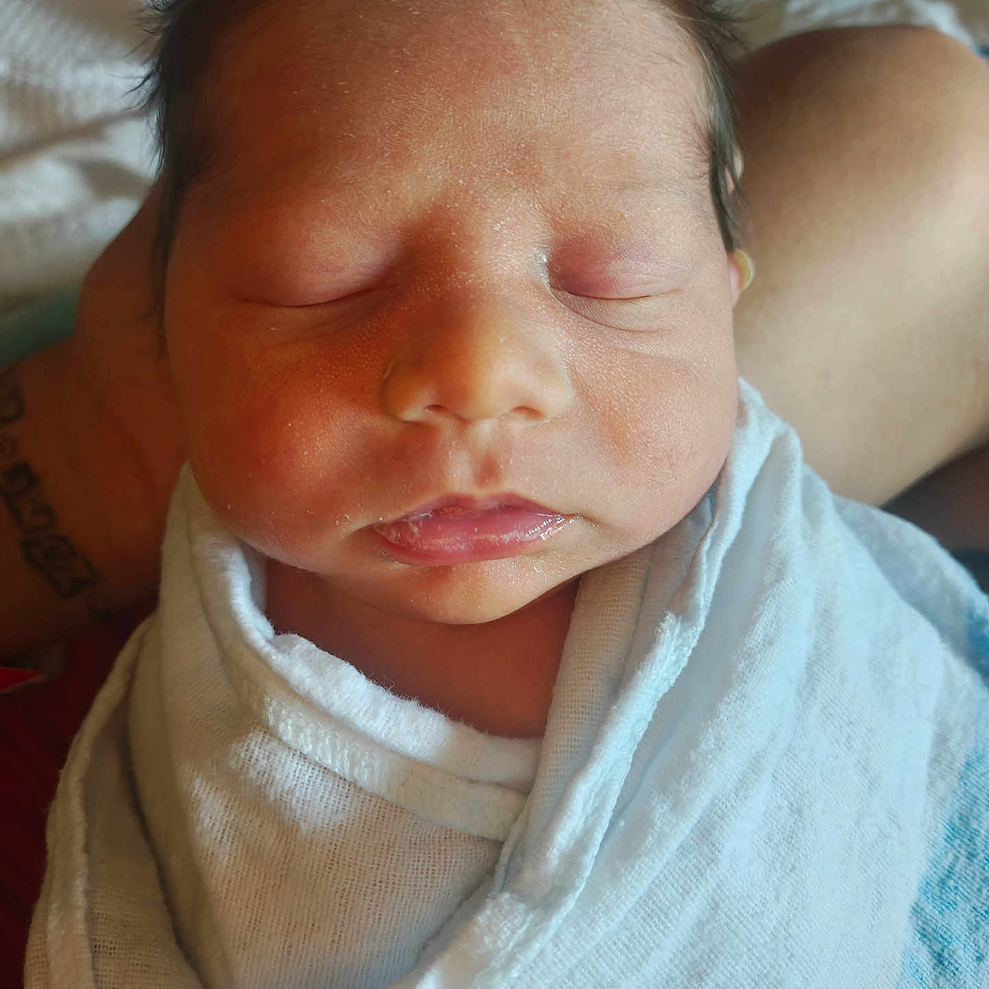Jaxson is registered to the contest to win money with this photo: newborn, baby, infant, sleeping, swaddled, blanket, close_up, face, peaceful, human, portrait, child, soft, cute, resting, skin, person, hair, mouth, expression