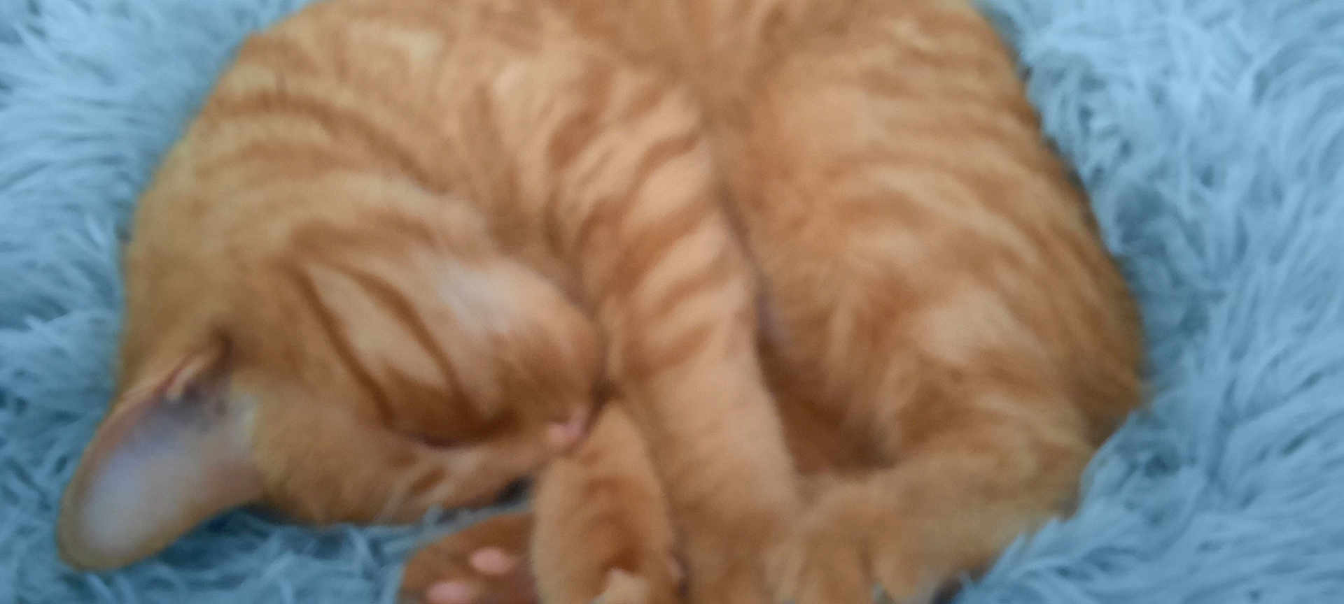 Titie