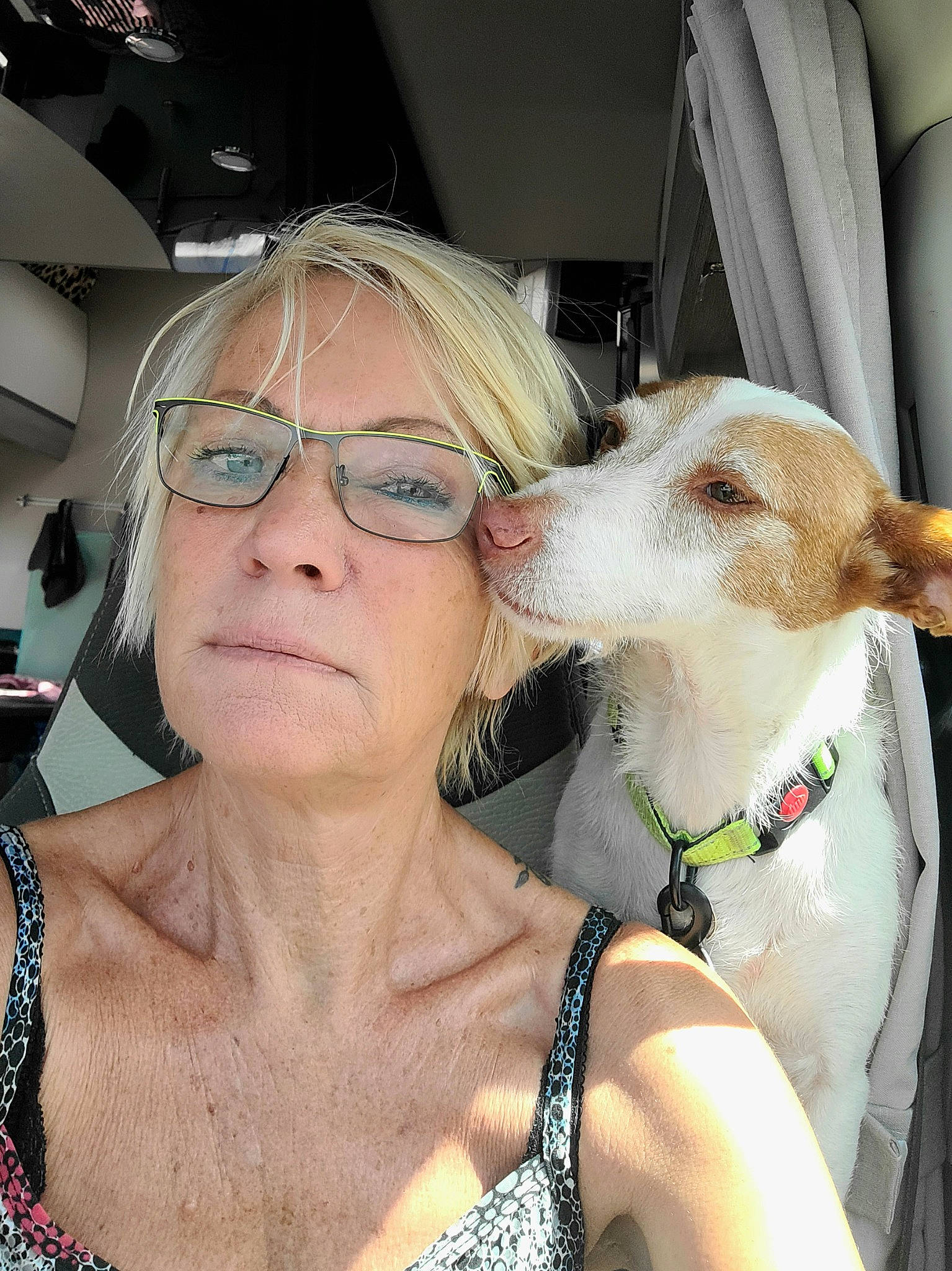 Tex a rejoint le concours — aidez-le/la à gagner de superbes lots ! carnivore, chest, collar, companion_dog, dog, dog_breed, dog_collar, ear, eyewear, fawn, glasses, goggles, happy, jewellery, neck, selfie, sporting_group, sunglasses, vision_care, working_animal