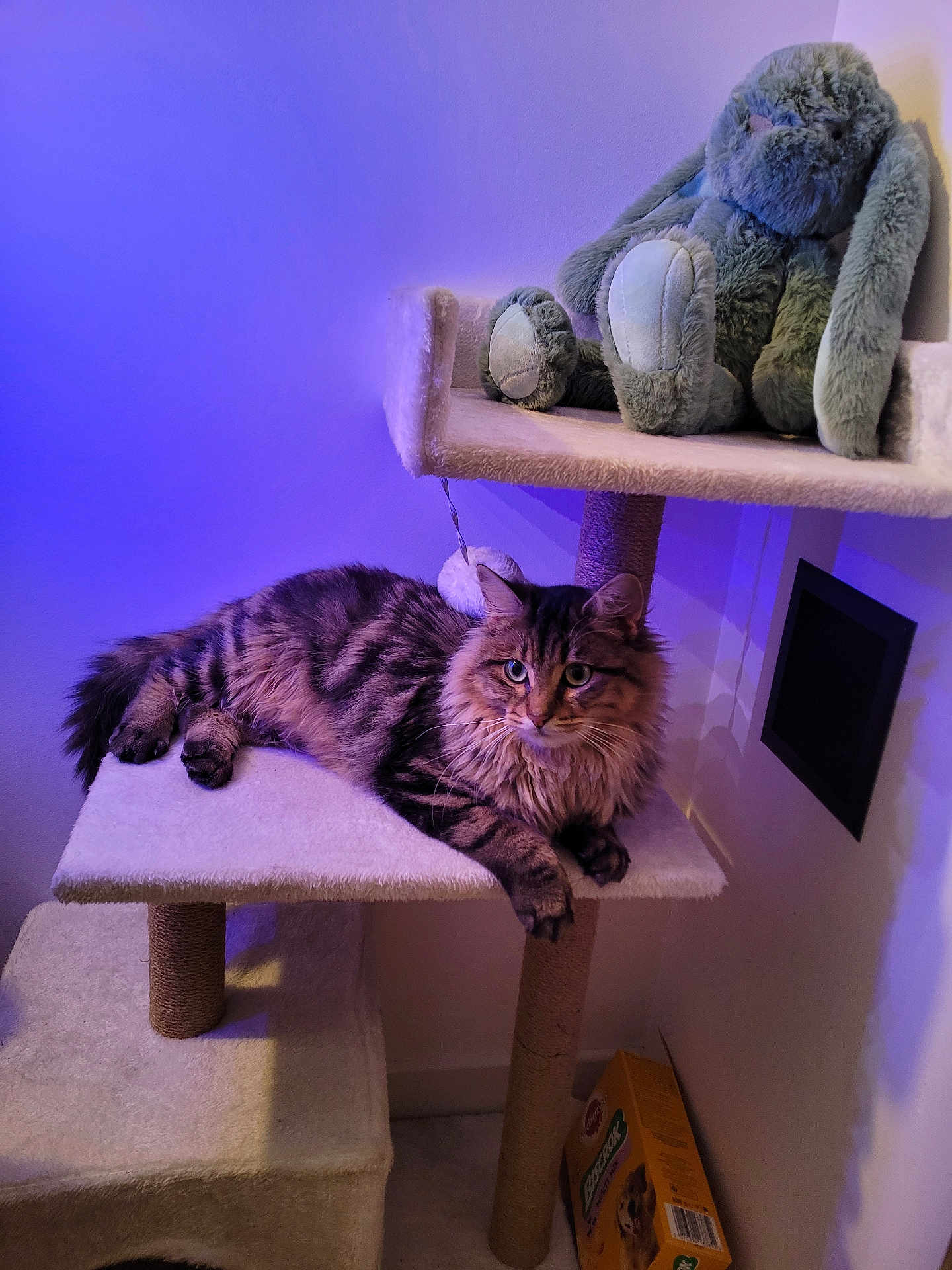 Athena