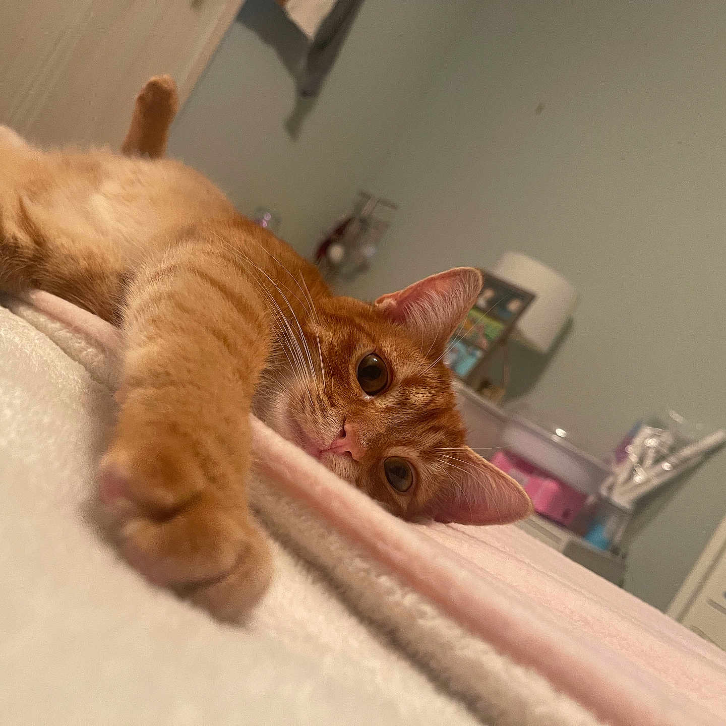 Pumpkin