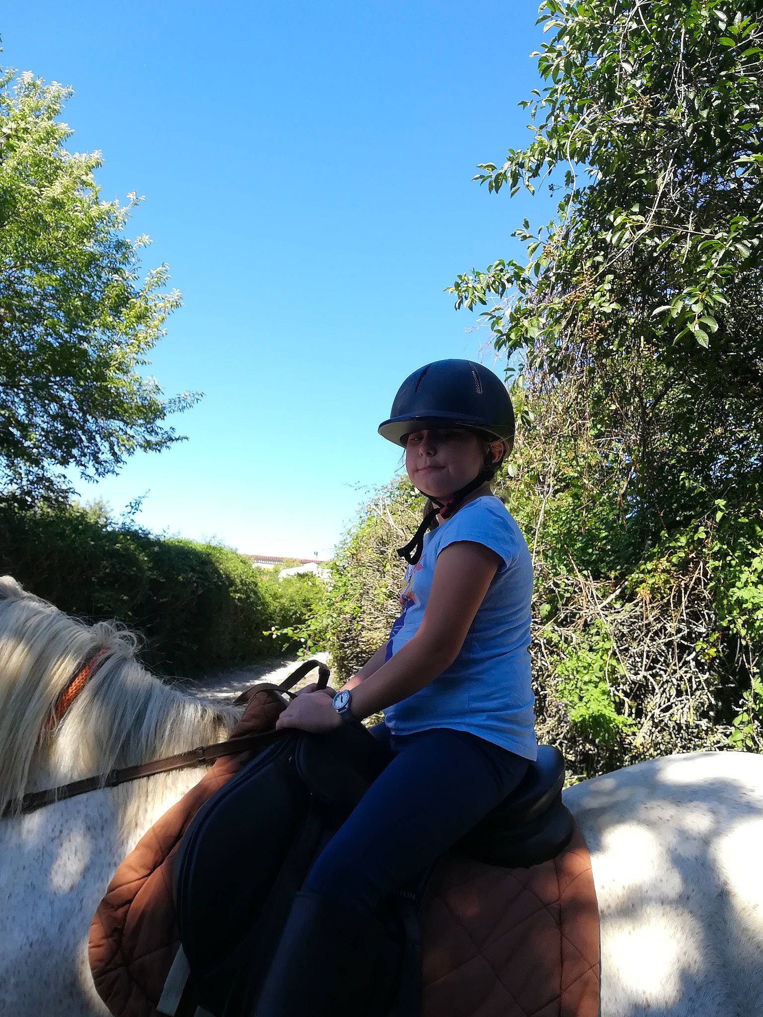 Gaïa a rejoint le concours — aidez-le/la à gagner de superbes lots ! bridle, equestrian_helmet, equestrianism, grass, headwear, helmet, horse, horse_supplies, horse_tack, landscape, leisure, organism, outdoor_recreation, person, plant, recreation, saddle, sky, sunlight, tree