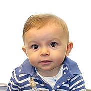 Rowan joined the competition — help win amazing prizes! baby, blue_shirt, bunny, child, collar, curious, cute, embroidery, expression, eyes, face, hair, indoors, infant, portrait, smile, soft_hair, striped_clothing, white_background, young_child