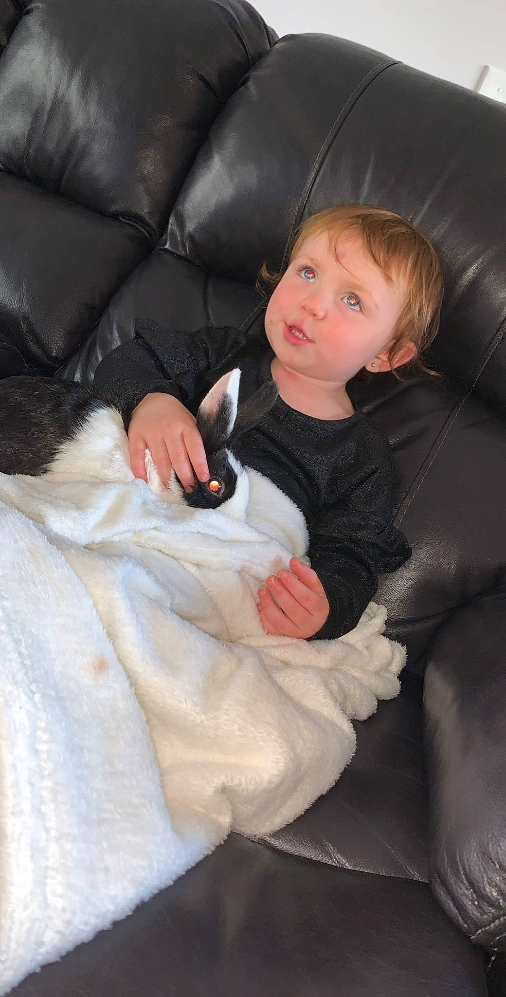 Alissa joined the competition — help win amazing prizes! baby, child, comfort, fur, leg, person, sitting, toddler