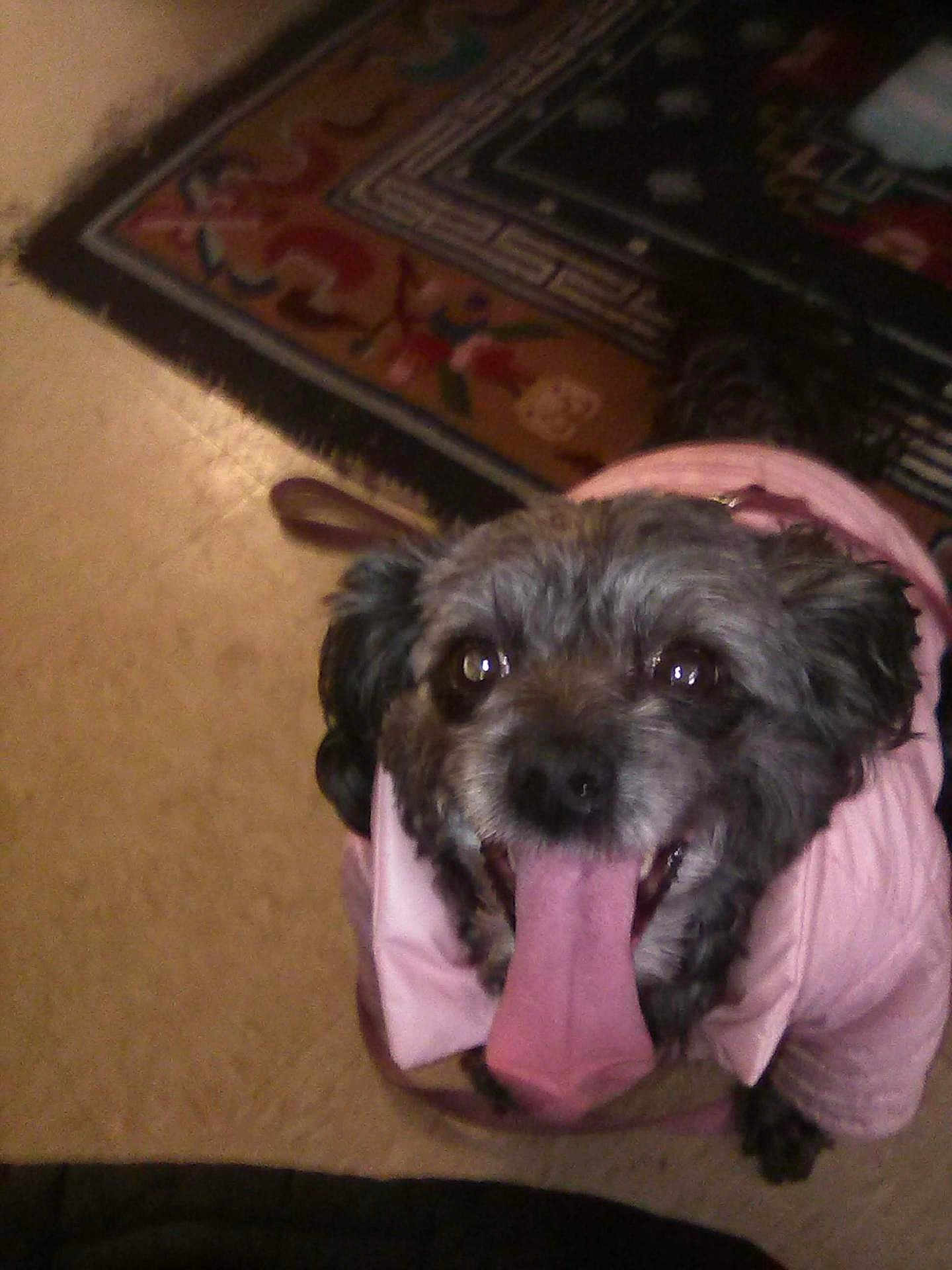 Precious