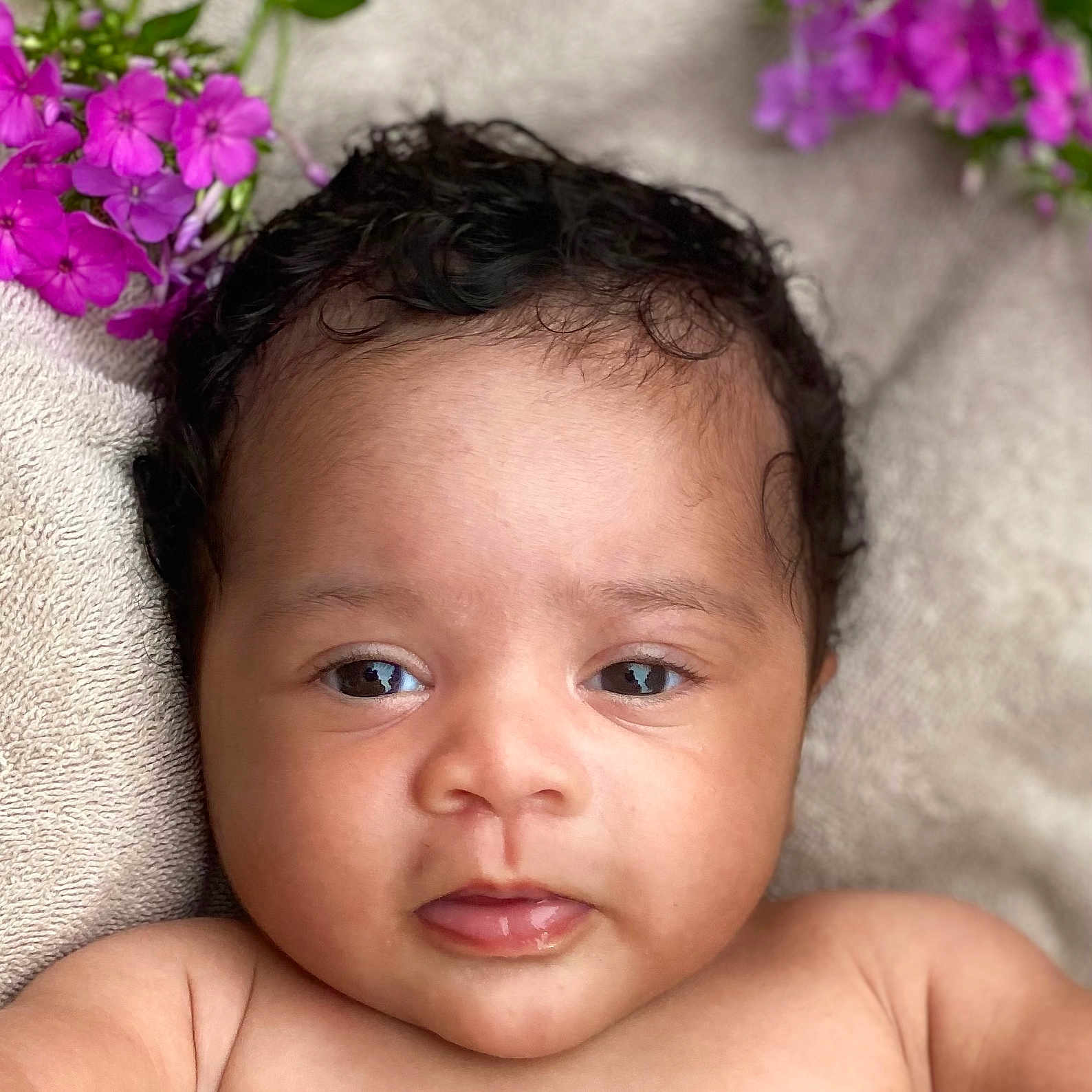 Beretta joined the competition — help win amazing prizes! baby, calm, child, closeup, curly_hair, cute, eyes, face, flower, infant, innocent, lying_down, mouth, natural_light, newborn, portrait, purple_flower, skin, soft_texture, towel