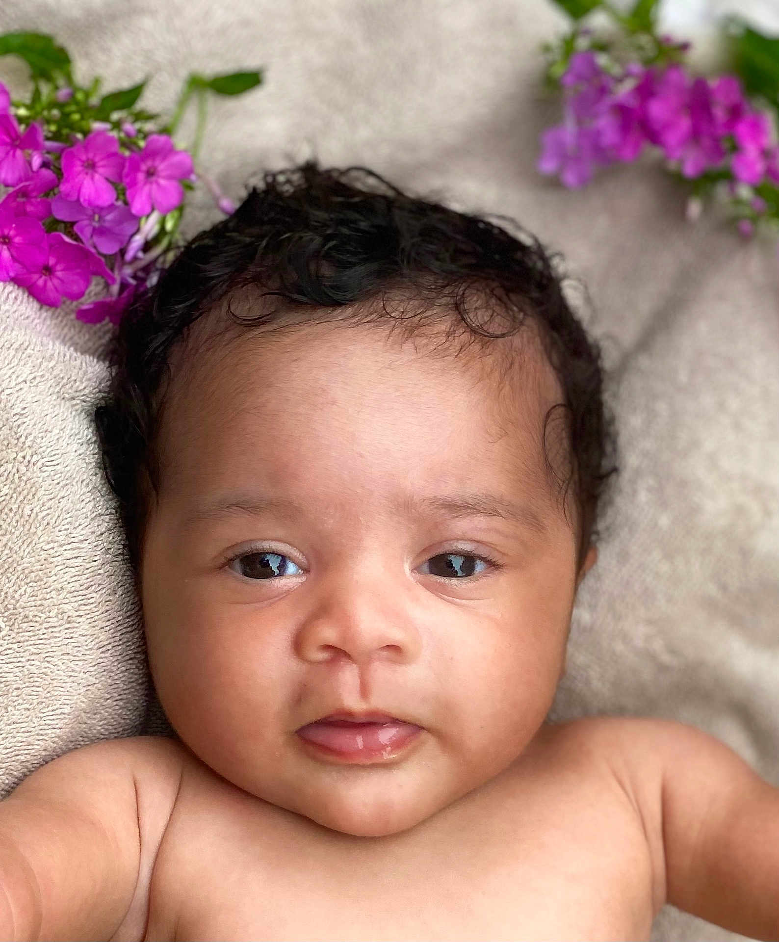 Beretta joined the competition — help win amazing prizes! baby, infant, face, curly_hair, flower, purple_flower, skin, eyes, mouth, towel, soft_texture, portrait, closeup, child, newborn, cute, lying_down, natural_light, calm, innocent