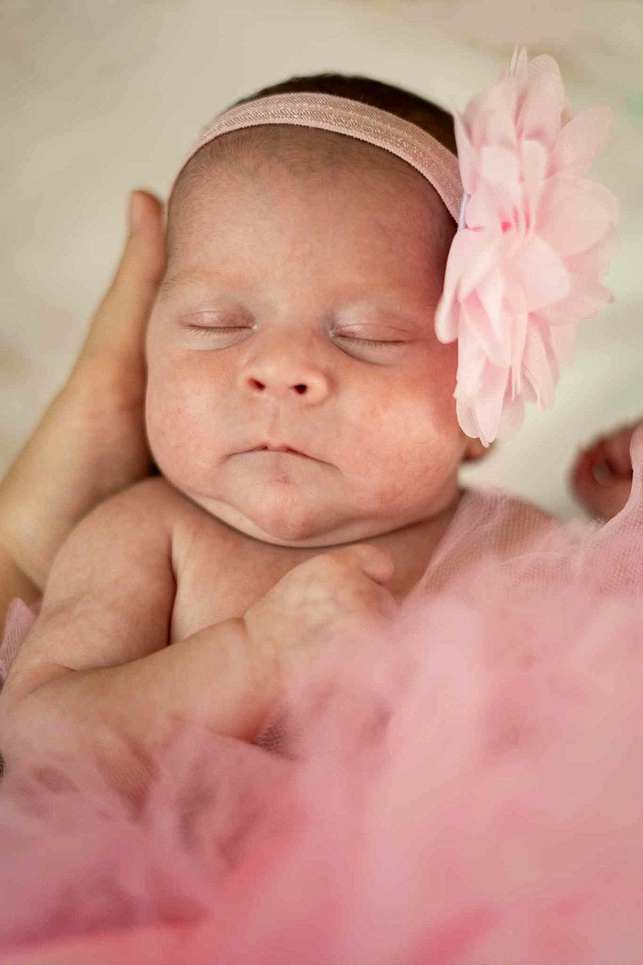 Emy participe au concours pour gagner de l'argent avec cette photo : newborn, baby, infant, pink, headband, flower, sleeping, peaceful, soft, tulle, hand, closeup, portrait, skin, cute, tiny, adorable, child, resting, serene
