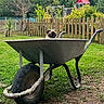 Moon a rejoint le concours — aidez-le/la à gagner de superbes lots ! cat, wheelbarrow, garden, backyard, picket_fence, grass, outdoor, pet, animal, construction_equipment, gardening, playhouse, trees, plants, hose, lawn, portrait, blue_eyes, fluffy, funny