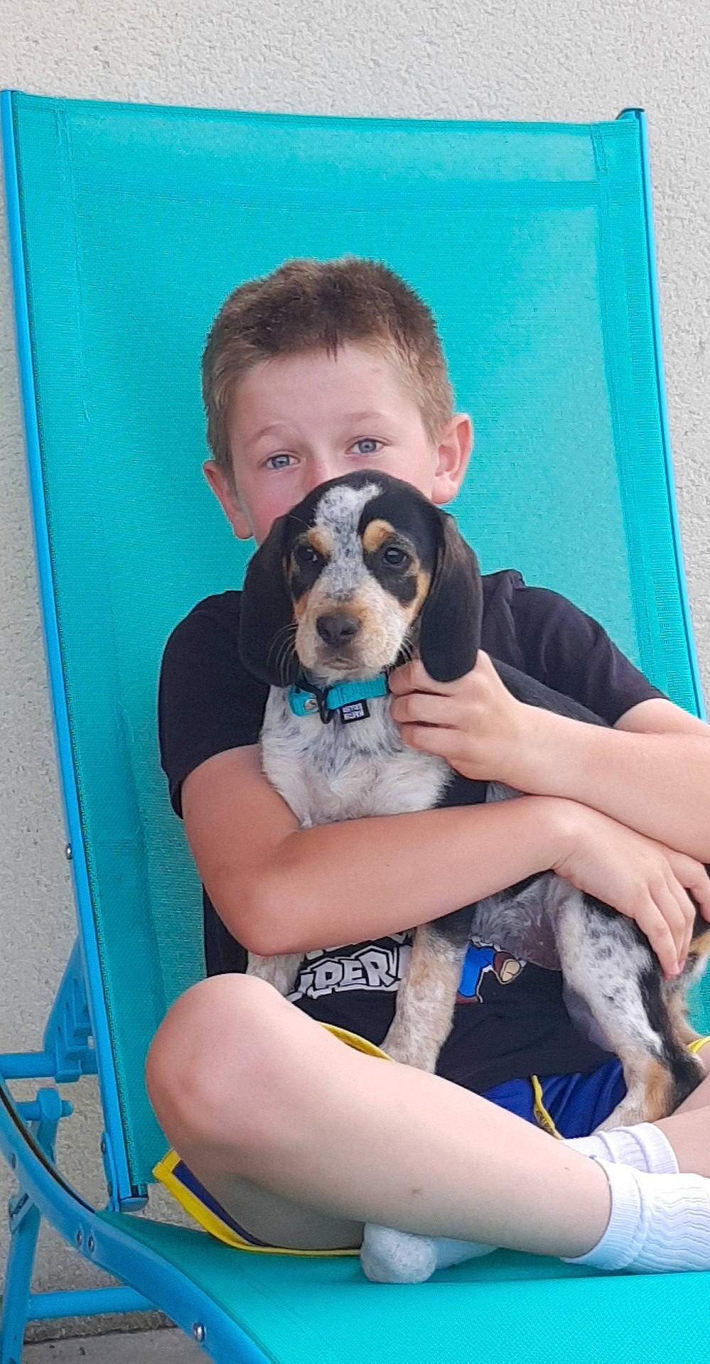 Rimky participe au concours pour gagner de l'argent avec cette photo : bluetick_coonhound, canidae, carnivore, companion_dog, coonhound, dog, dog_breed, mammal, pocket_beagle, puppy, puppy_love, rare_breed_dog, schweizer_laufhund, sporting_group, treeing_walker_coonhound, vertebrate