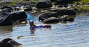 Sofie is registered to the contest to win money with this photo: bodyboard, boulders, cap, child, leisure, nature, outdoor, person, play, recreation, relaxing, ripples, rocks, shallow_water, stream, summer, sunlight, swimsuit, water, water_sport