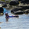 bodyboard, boulders, cap, child, leisure, nature, outdoor, person, play, recreation, relaxing, ripples, rocks, shallow_water, stream, summer, sunlight, swimsuit, water, water_sport