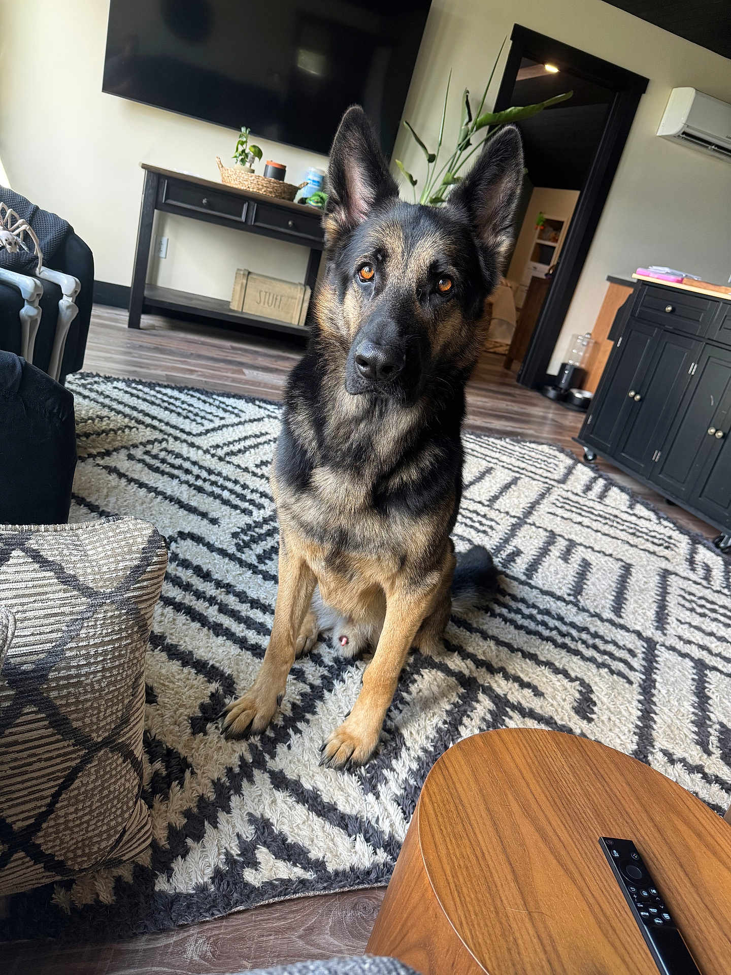 Tucker