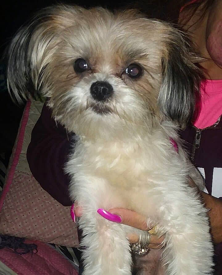 Cake joined the competition — help win amazing prizes!