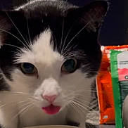 Nix joined the competition — help win amazing prizes! cat, black_and_white, close_up, tongue_out, pet, indoor, curious, whiskers, snack_bags, container, face, animal, feline, domestic_cat, table, food, playful, cute, household, portrait