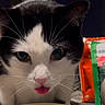 cat, black_and_white, close_up, tongue_out, pet, indoor, curious, whiskers, snack_bags, container, face, animal, feline, domestic_cat, table, food, playful, cute, household, portrait