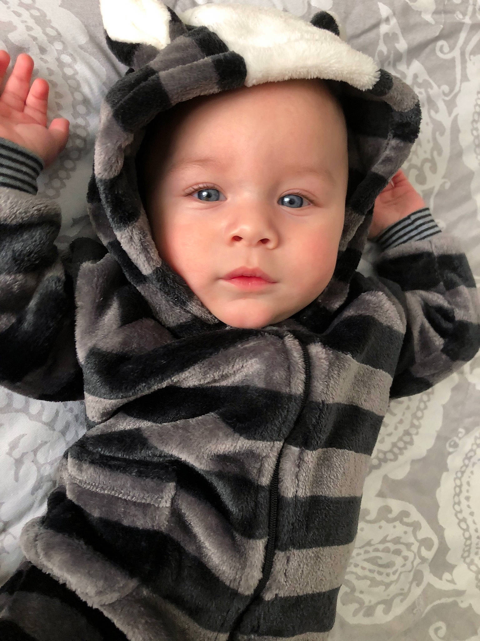 Caleb participe au concours pour gagner de l'argent avec cette photo : baby, baby_toddler_clothing, cheek, child, child_model, cool, costume_accessory, fur, headwear, hood, person, textile, toddler, winter