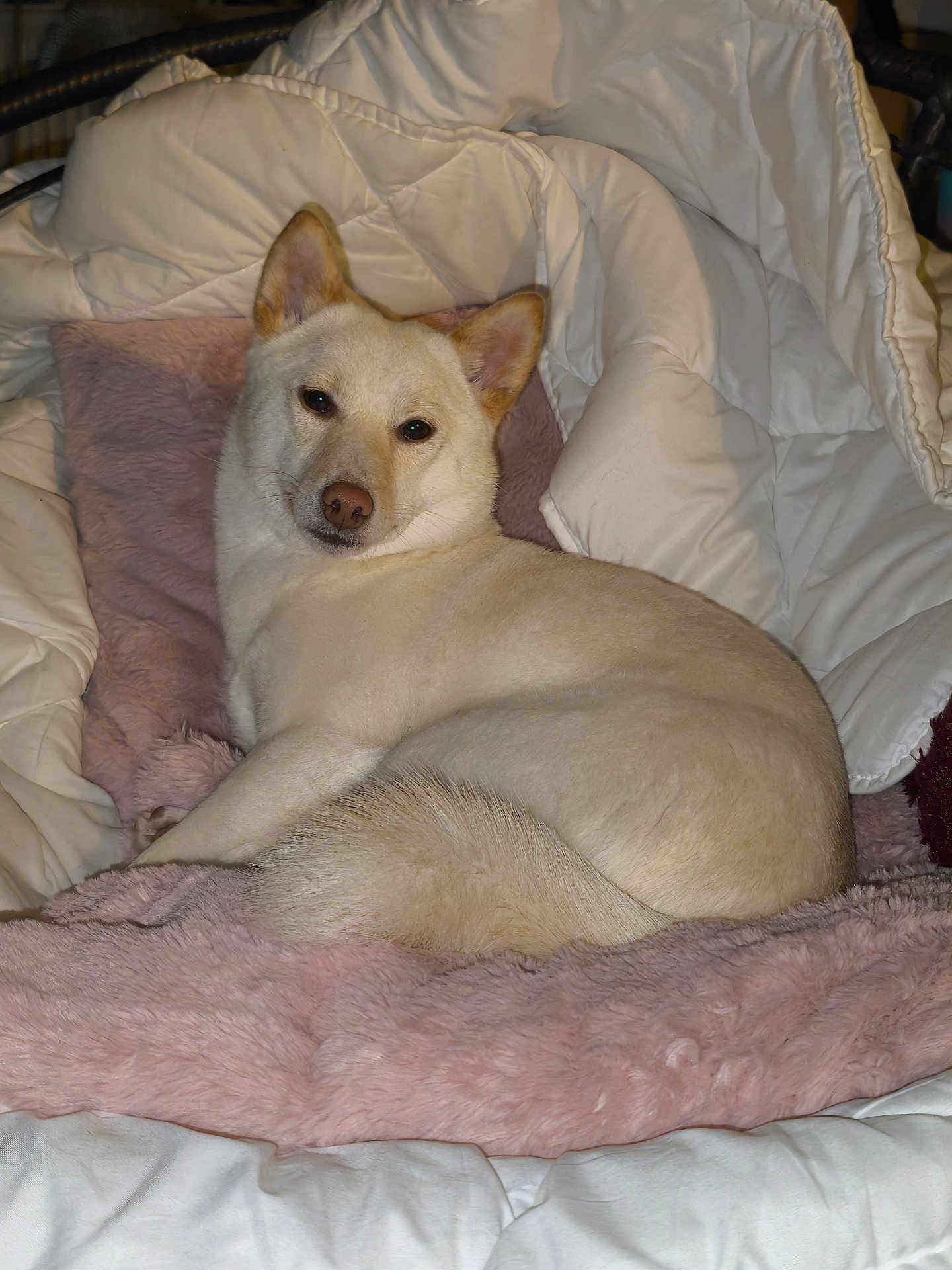 Yuki