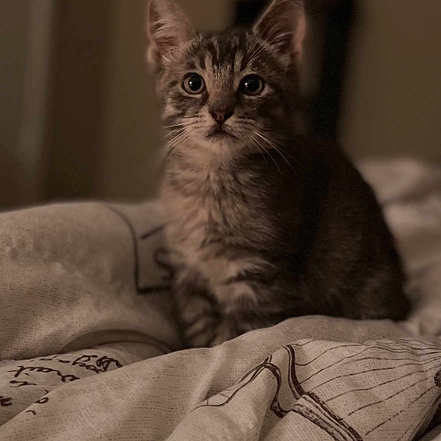 Oliver