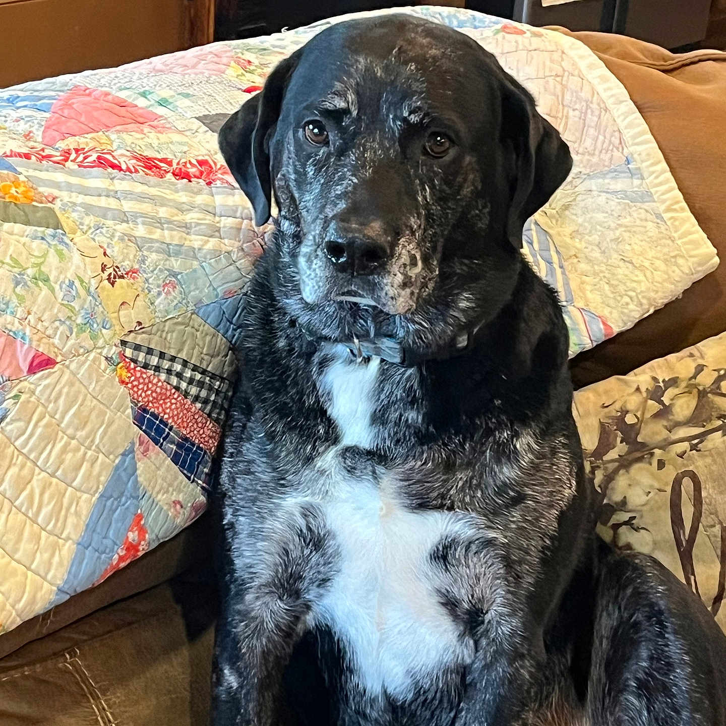 Duke