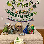 Archie is registered to the contest to win money with this photo: dog, birthday, cake, dinosaur, toys, party_hat, birthday_banner, fourth_birthday, indoor, celebration, festive, pet, shih_tzu, fluffy, carpet, wood_floor, cake_candles, plush_toys, birthday_bone, decorations