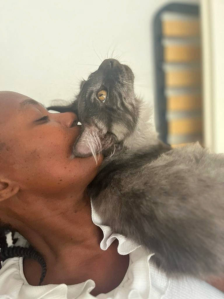 Maho participe au concours pour gagner de l'argent avec cette photo : black_hair, canidae, carnivore, cat, claw, companion_dog, dog_breed, ear, eyelash, fawn, felidae, fur, gesture, happy, jaw, nose, small_to_medium_sized_cats, snout, tail, whiskers