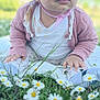 Romy participe au concours pour gagner de l'argent avec cette photo : baby, child, pink_hat, pink_cardigan, white_shirt, daisies, flowers, grass, outdoor, nature, cute, portrait, sitting, daylight, greenery, infant, soft_light, closeup, garden, young_child