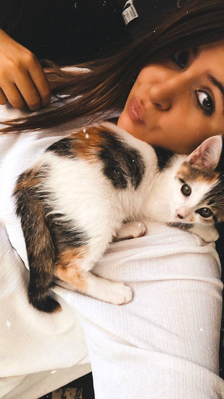 Nala participe au concours pour gagner de l'argent avec cette photo : aegean_cat, american_wirehair, black_hair, carnivore, cat, domestic_short_haired_cat, ear, european_shorthair, felidae, fur, hug, kitten, leg, skin, small_to_medium_sized_cats, whiskers