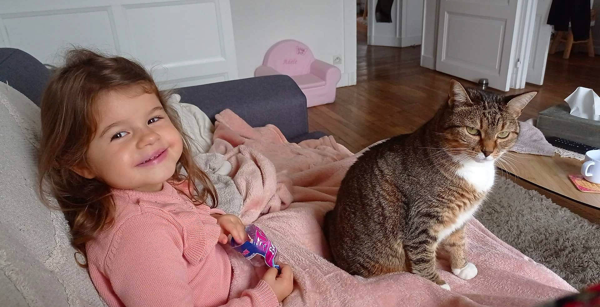 Chouquette participe au concours pour gagner de l'argent avec cette photo : carnivore, cat, comfort, couch, domestic_short_haired_cat, eye, fawn, felidae, happy, head, iris, lap, sitting, skin, small_to_medium_sized_cats, smile, snout, tail, toddler, whiskers