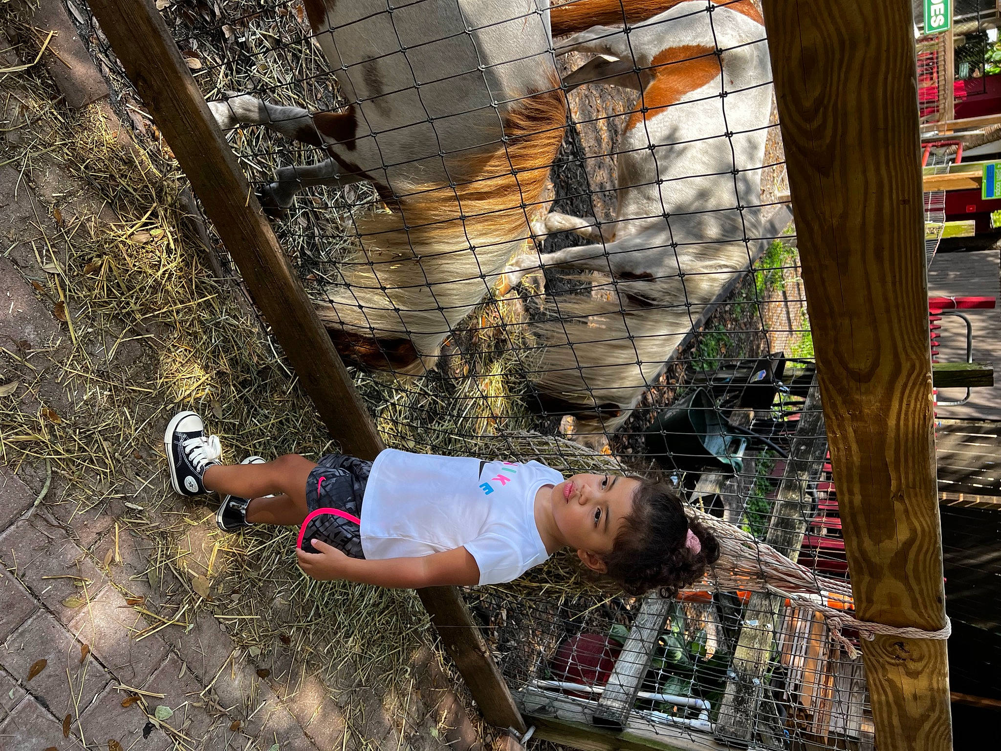 Kitana is registered to the contest to win money with this photo: city, fun, hat, human_leg, leisure, pedestrian, person, plant, recreation, sandal, shorts, sidewalk, soil, street, t_shirt, thigh, toddler, tree, waste, wood