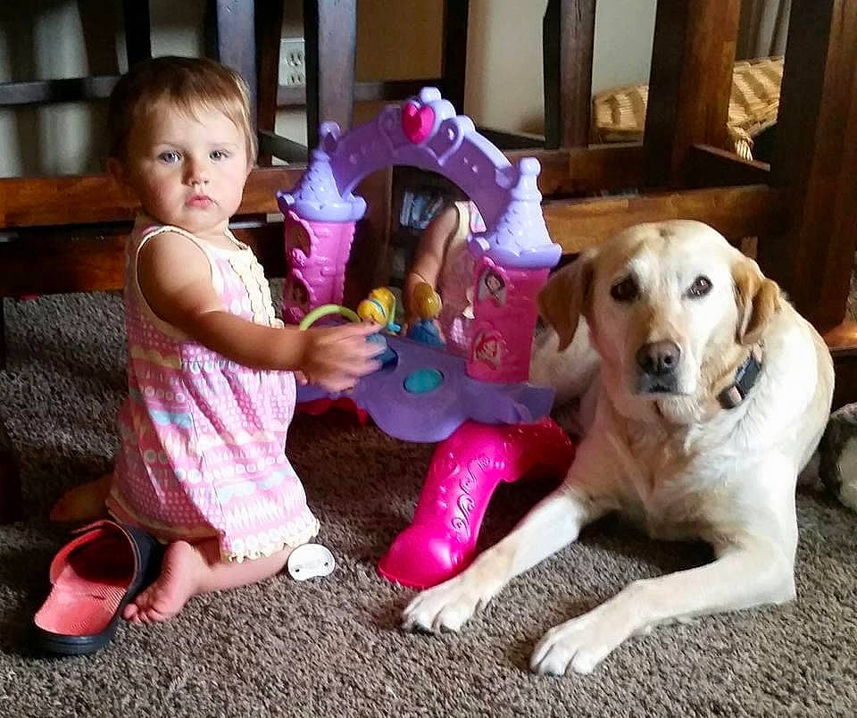 Zayda is registered to the contest to win money with this photo: baby, baby_toddler_clothing, carnivore, child, companion_dog, dog, dog_breed, dog_supply, event, fun, happy, leisure, magenta, people, person, pink, play, retriever, sitting, snout