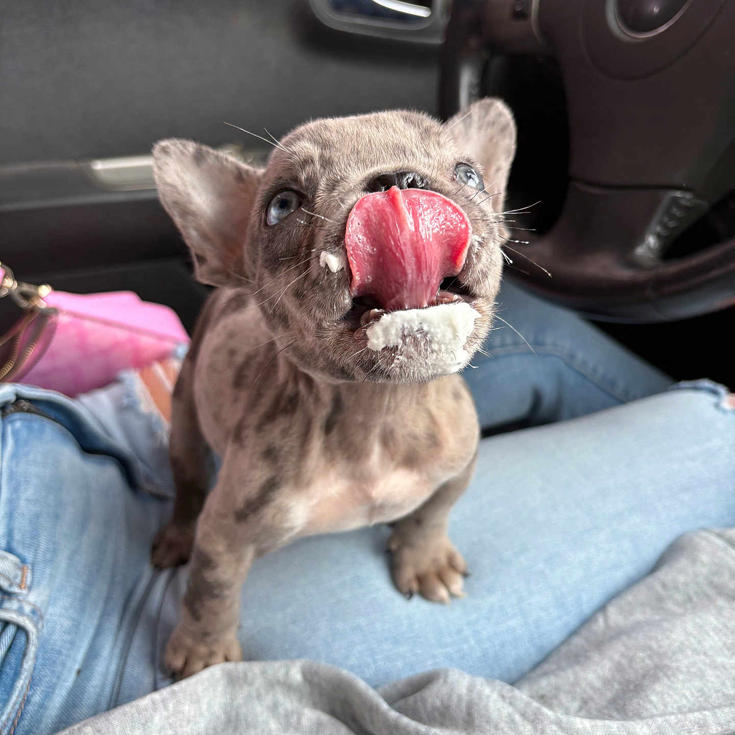 Stitch Miller