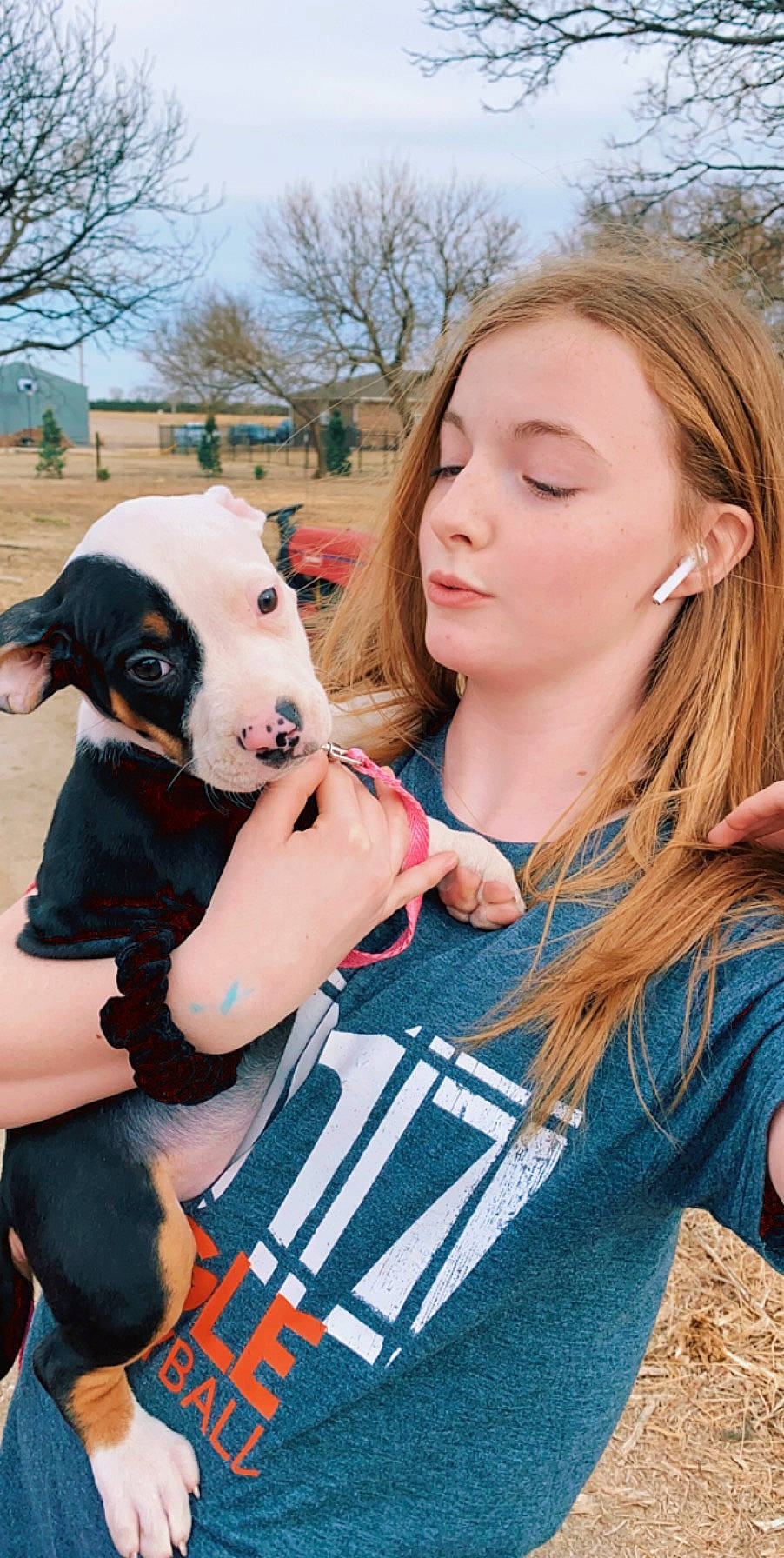 Tavia joined the competition — help win amazing prizes! canidae, carnivore, companion_dog, dog, dog_breed, ear, fawn, puppy_love, snout