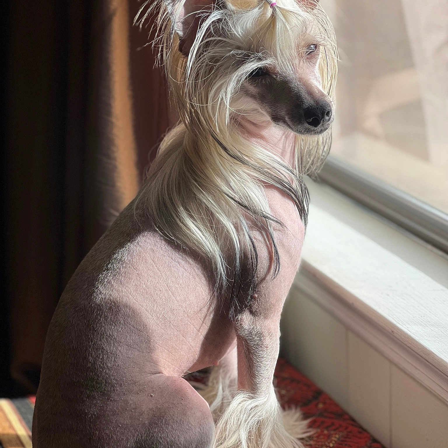 Winnie
