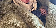 Léo participe au concours pour gagner de l'argent avec cette photo : baby, blanket, bundle, child, clothing, comfort, cozy, cute, face, hand, hood, indoor, infant, peaceful, portrait, rest, sleeping, soft, toddler, warm