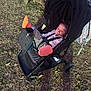 Maddie joined the competition — help win amazing prizes! baby, stroller, outdoor, grass, leaves, orange_booties, striped_pants, pacifier, child, person, sunlight, shadow, black_stroller, backpack, nature, relaxing, casual, infant, seatbelt, daylight