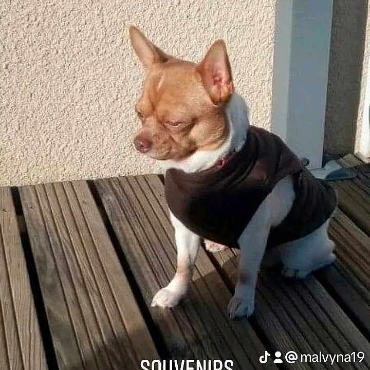 Morytho