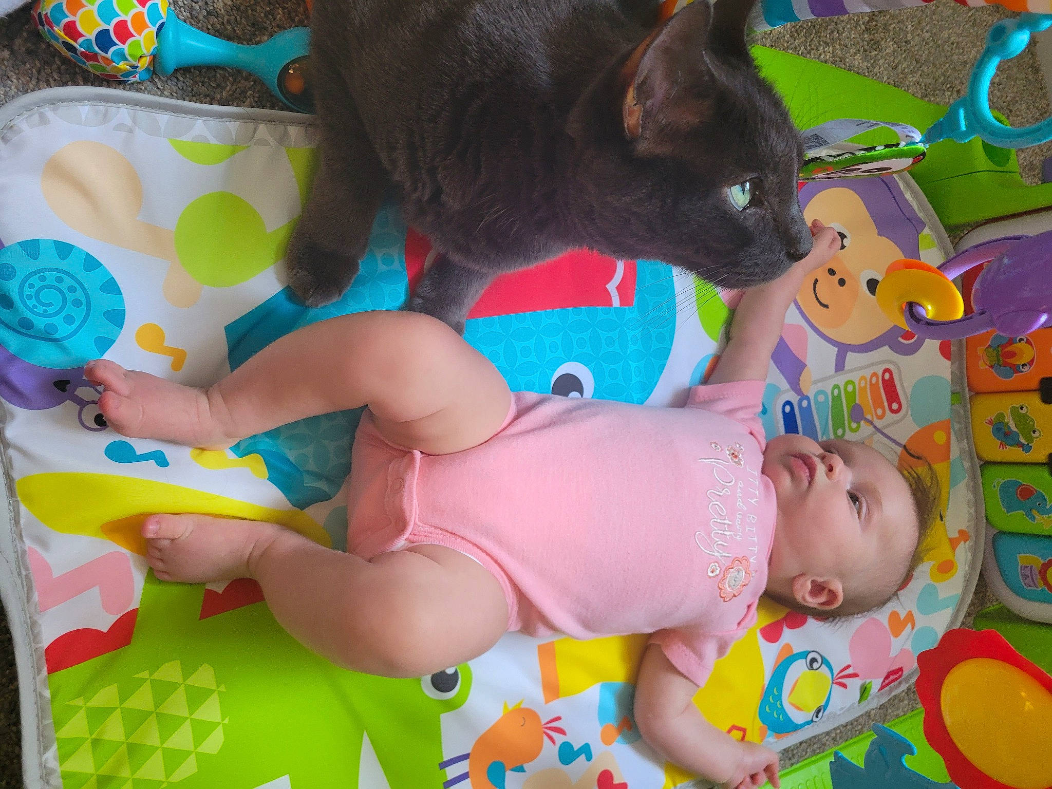 Moira is registered to the contest to win money with this photo: baby_products, baby_toddler_clothing, cat, child, felidae, fun, green, happy, human_leg, lap, leisure, person, pink, play, small_to_medium_sized_cats, tail, textile, thigh, toddler, toy
