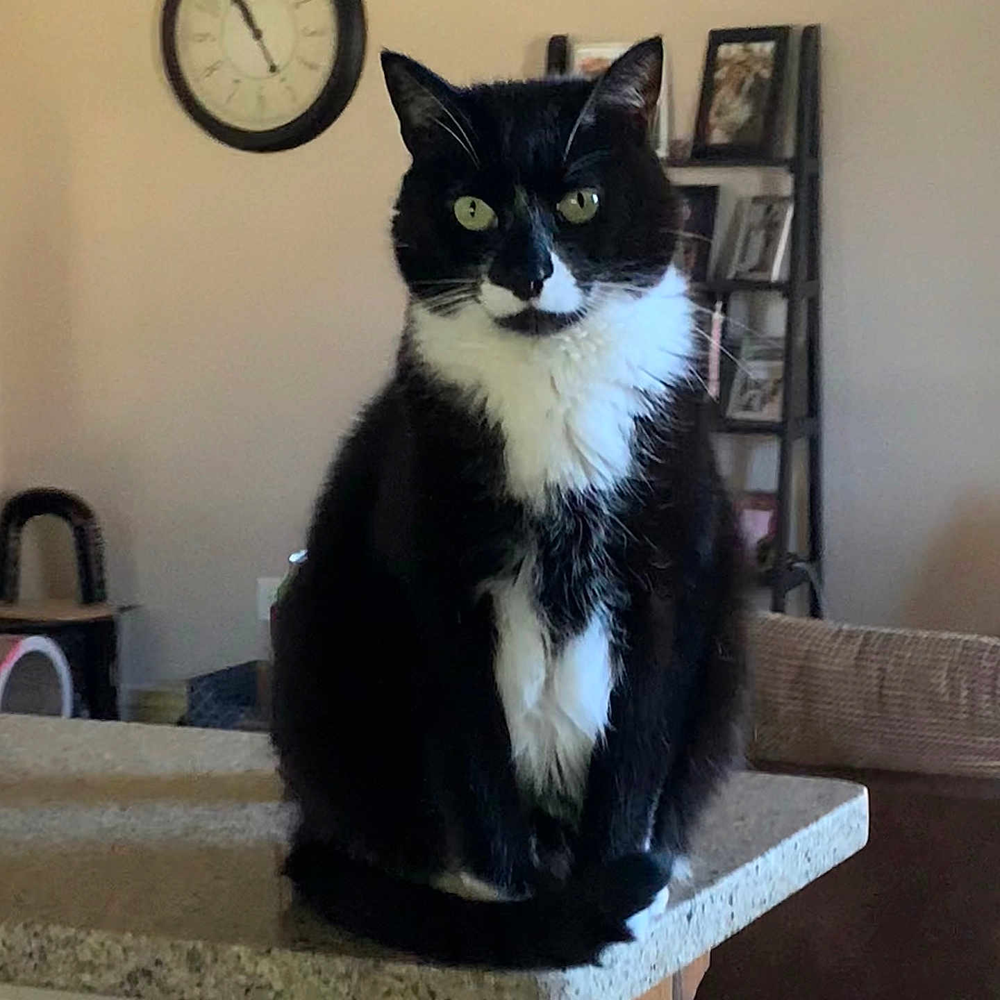Jeeves