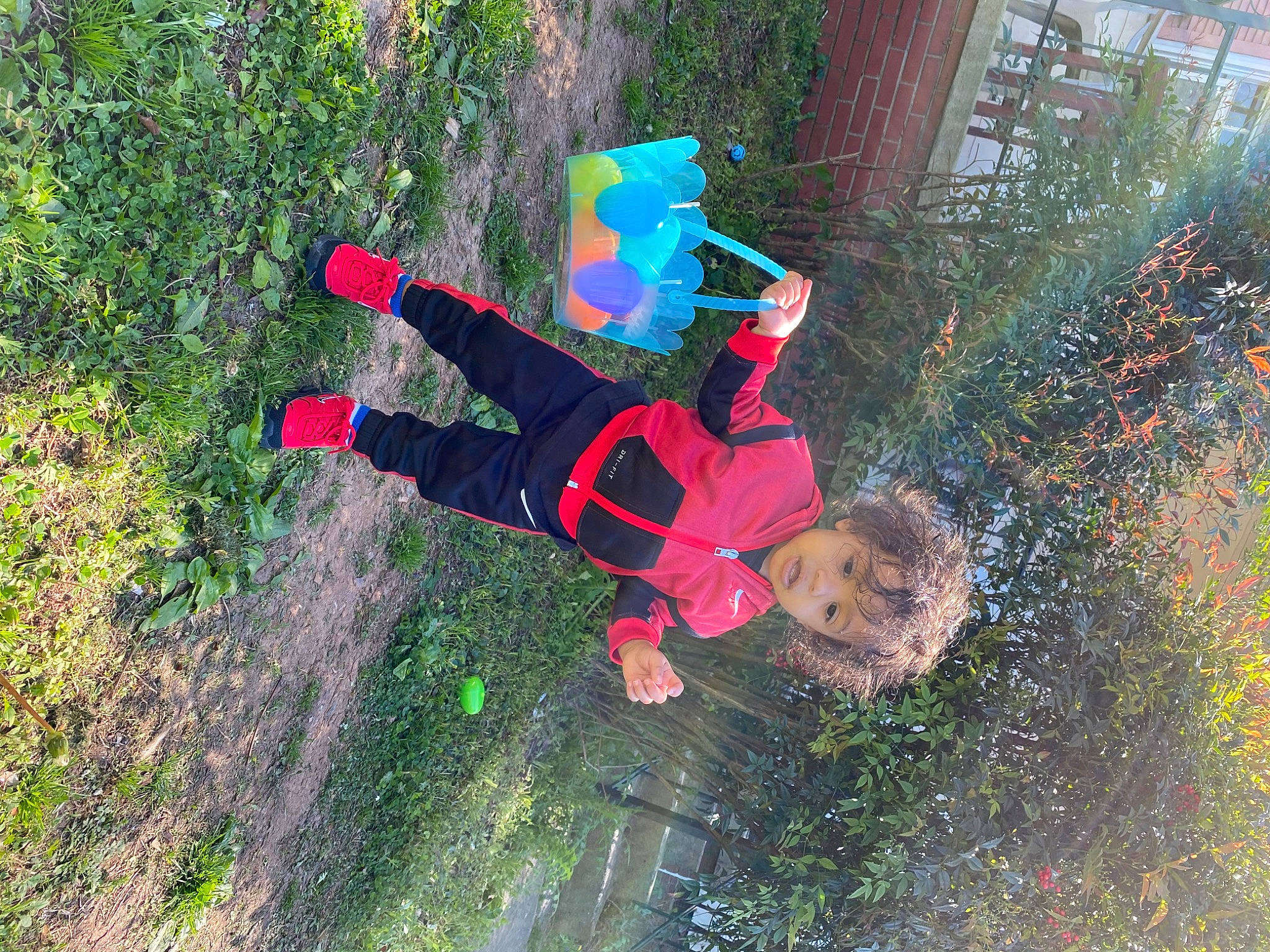 Amir joined the competition — help win amazing prizes! adventure, fun, leisure, person, plant, play, recreation